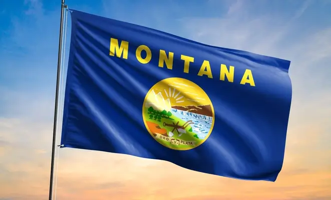 Montana va loan guide